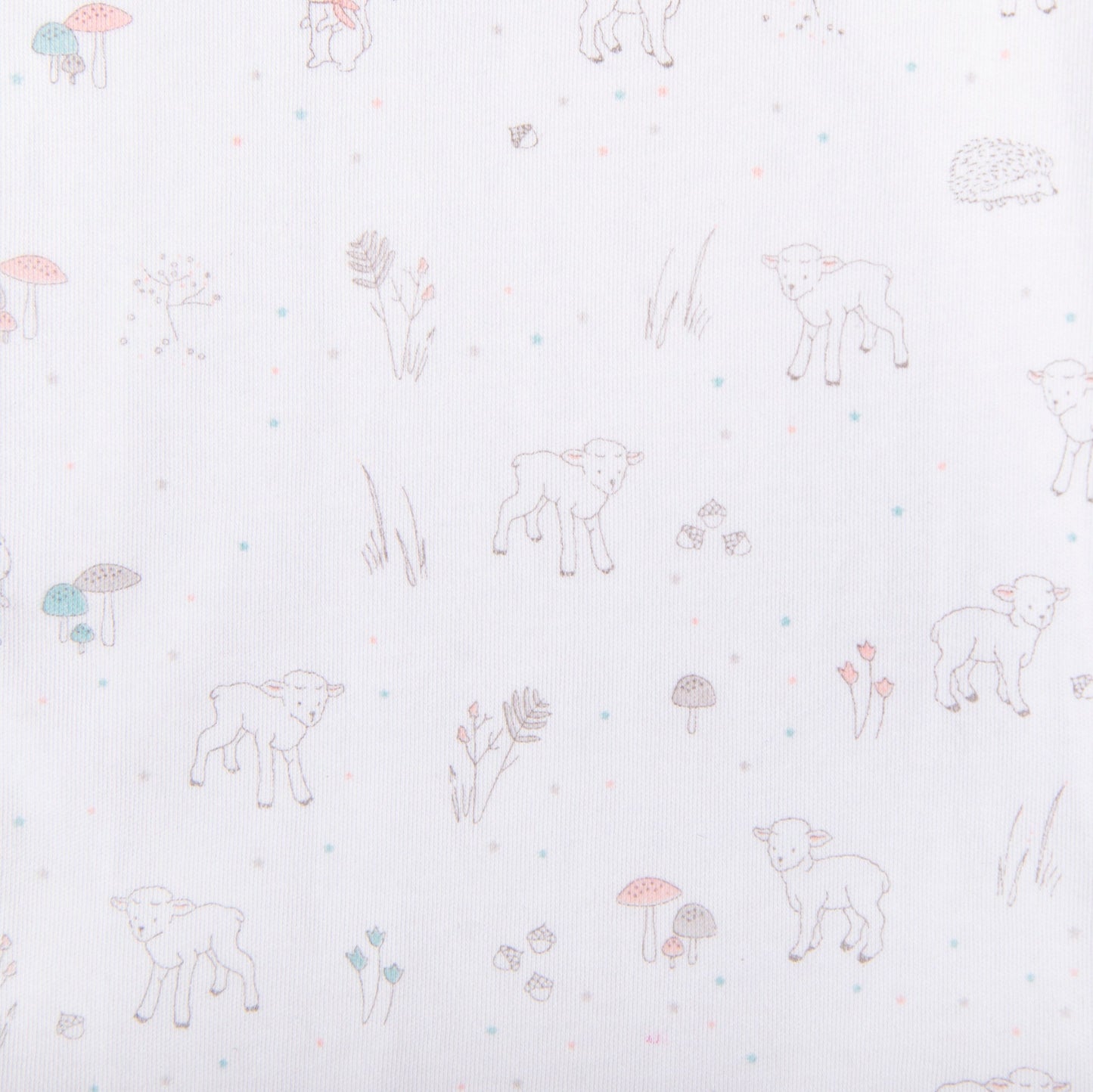 Baby Lamb Print