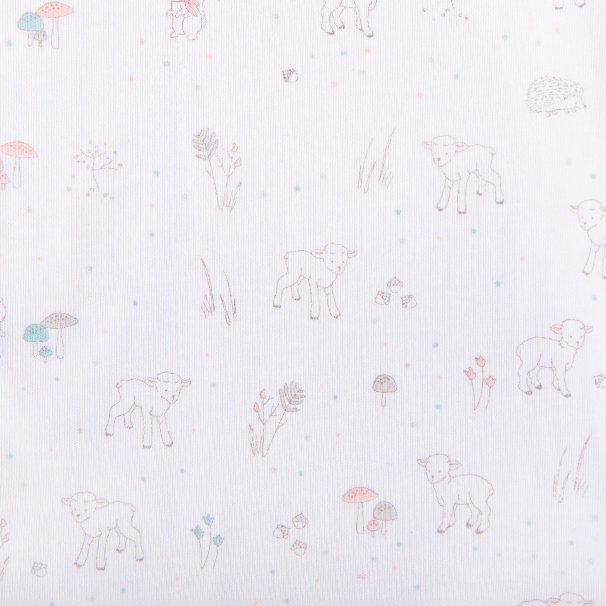 Baby Lamb Print